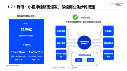 小程序投资回暖 花小猪的下沉 快团团的凶猛 苏宁的猛涨