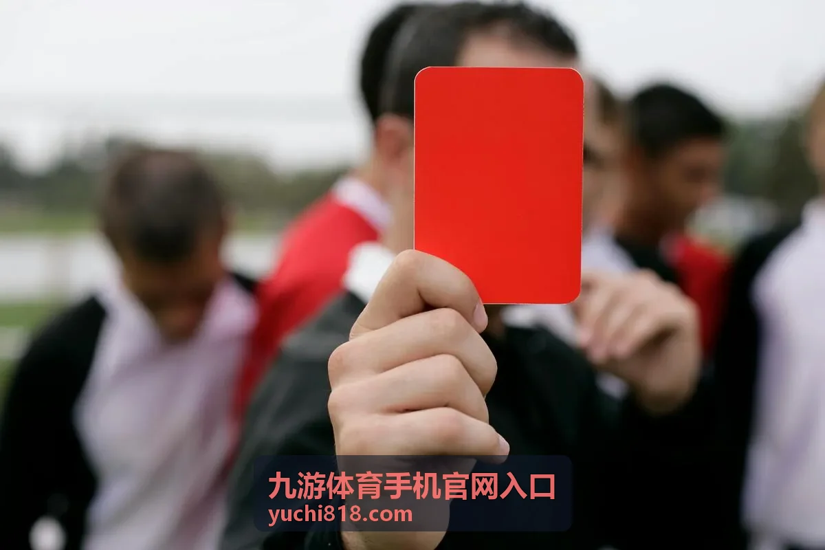 九游体育手机官网入口首页访问示意图