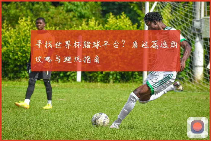 寻找世界杯赌球平台?看这篇选购攻略与避坑指南