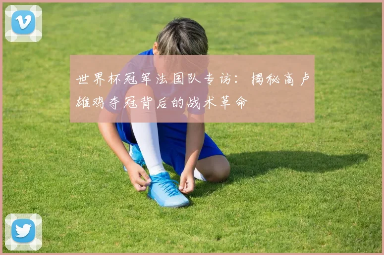 世界杯冠军法国队专访:揭秘高卢雄鸡夺冠背后的战术革命