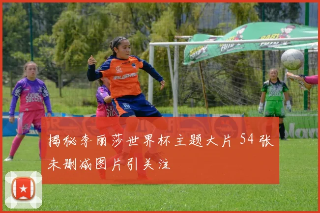 揭秘李丽莎世界杯主题大片 54 张未删减图片引关注