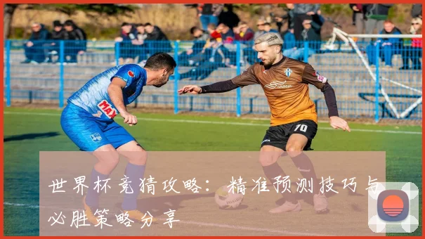 世界杯竞猜攻略：精准预测技巧与必胜策略分享